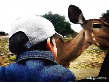 圣安东尼奥，圣安东尼奥旅游景点攻略