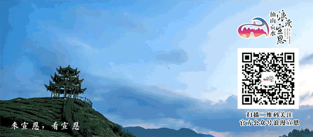 主播招聘文案（主播招聘图片）