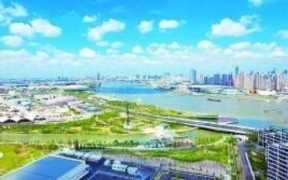 世博会主题，2020年上海世博会旅游攻略