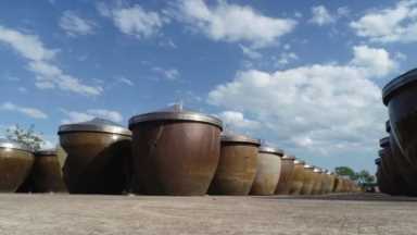 丰溪森林度假区，丰溪森林度假区景观休闲假期体验