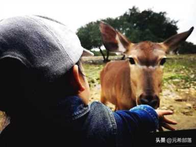 圣安东尼奥，圣安东尼奥旅游景点攻略