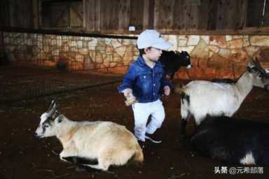 圣安东尼奥，圣安东尼奥旅游景点攻略