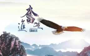 天下创业网，天下创业网如何帮助创业者成功