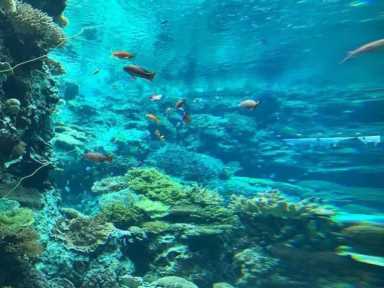 胆小勿入｜盘点那些可怕的海洋生物