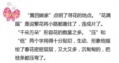 江畔独步寻花意思(江畔独步寻花意思和注释)插图14 人教版六年级下册《芙蓉楼送辛渐》《江畔独步寻花》知识整理