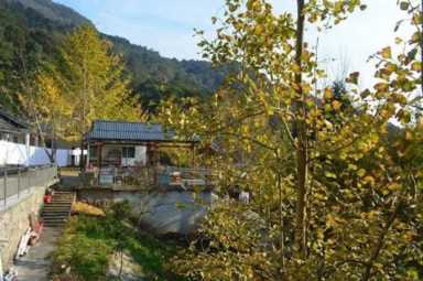 在农村想一年挣上几十万，有这几种闲置资源，就有可能实现！