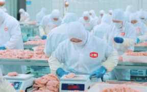 正新鸡排加盟费及加盟条件(正新鸡排主要是有两种经营模式吗)