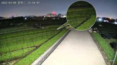 干货！给我5分钟，教会你挑选摄像机