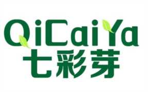 童装加盟店5(七彩芽童装怎么加盟代理)