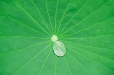 冥想的可怕后果(什么是冥想训练方法)插图3 冥想的含义和意义究竟是什么?