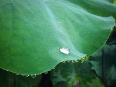 冥想的可怕后果(什么是冥想训练方法)插图5 冥想的含义和意义究竟是什么?