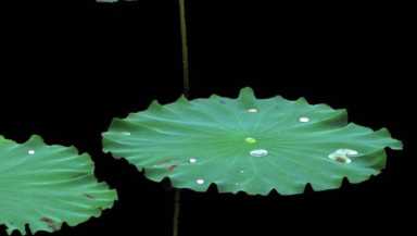 冥想的可怕后果(什么是冥想训练方法)插图1 冥想的含义和意义究竟是什么?