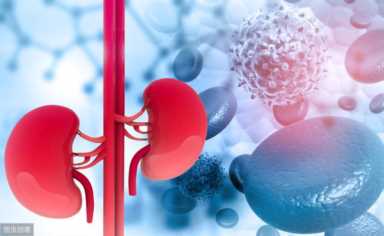 你知道自己泌尿系统的“上班流程”吗？看一下你就知道了