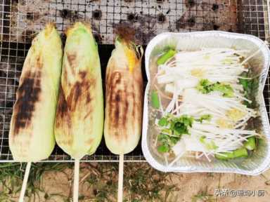 自助烧烤食材清单，准备充足，不慌不忙，享受野餐的乐趣