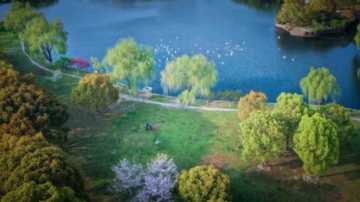 上海交大录取通知书发放插图7 这就是,上海交大!