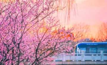 上海交大录取通知书发放插图9 这就是,上海交大!