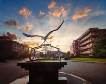 上海交大录取通知书发放插图33 这就是,上海交大!