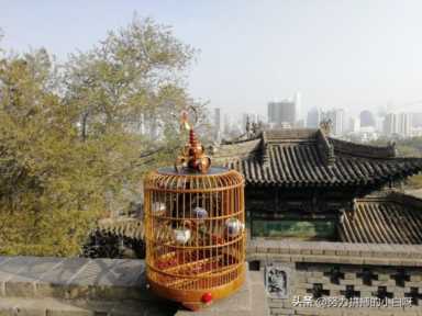 移动流量副卡怎么办理(移动流量卡全国无限流量19元)插图3 移动的套路你永远不懂,一不小心就是一个坑