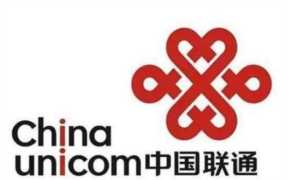 流量王29元套餐(流量王29元套餐(山东))