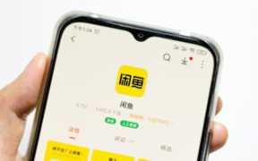 怎样才能在闲鱼上卖东西(怎样才能有多个闲鱼号)