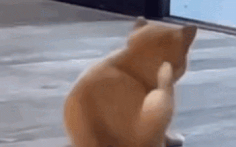 纯流量卡用花钱吗(纯流量卡办理)