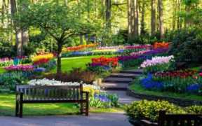 沙雕是夸人还是骂人的(沙雕是夸人还是骂人的话)