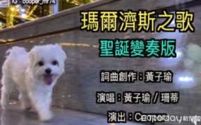 玛丽亚凯莉好听的歌(玛丽亚凯莉为乔丹唱的歌)