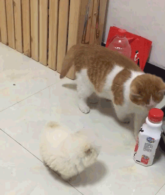 乐理启蒙教，再也不愁孩子学不会了
