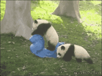 乐理启蒙教，再也不愁孩子学不会了