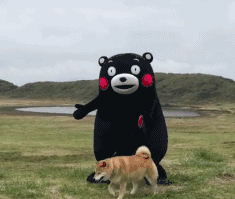 乐理启蒙教，再也不愁孩子学不会了