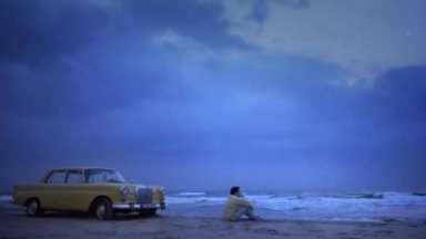 一秒都别删，这限制级爱情不只有野