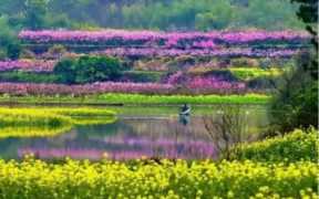 桃花坞里桃花庵全诗(桃花坞里桃花庵全诗)