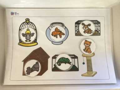 爱是什么结构(爱是什么结构的字体,部首是什么字)插图7 融爱科普丨结构化科普(一)