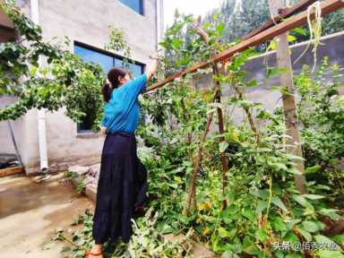 实在不想打工了，想回农村创业，选了4个好门路，请大家支招