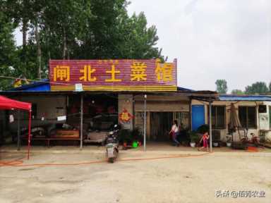 实在不想打工了，想回农村创业，选了4个好门路，请大家支招