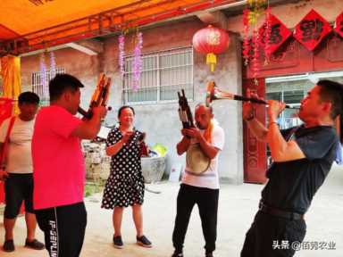 实在不想打工了，想回农村创业，选了4个好门路，请大家支招