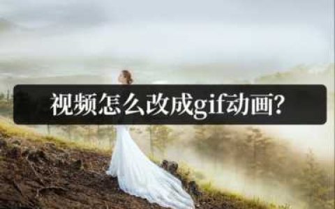动画短视频制作(动画短视频制作公司)