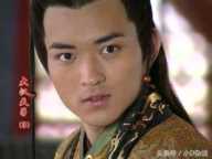 他是汉武帝和卫子夫的儿子，因遭奸臣陷害，父子离心，只好自杀