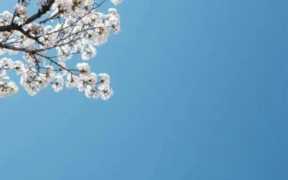 唯美风景动态图片(夏天风景动态图片唯美)