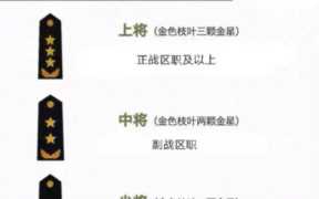 大将军衔相当于什么官职(中国唯一七星上将)