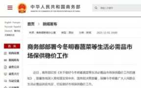 胡锡进-鼓励储存必需品别解读歪了，如何利用储存必需品节省支出