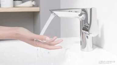 evelyn lin 种子 你了解Evelyn Lin吗