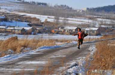 Hello树先生票房票房统计分析，hello树先生王宝强演技巅峰