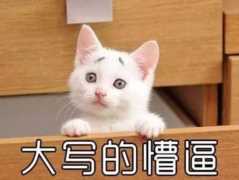 如何优雅地表示这种大尺度的画面呢