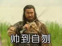 如何优雅地表示这种大尺度的画面呢