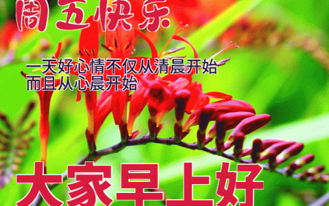 适合发朋友圈的早睡早起句子