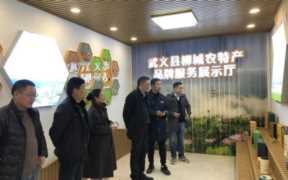 农产品品牌化(柳城市场和质量监督所)