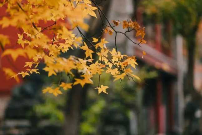 秋分图片大全大图风景图片高清插图1 秋分图片大全大图风景图片高清
