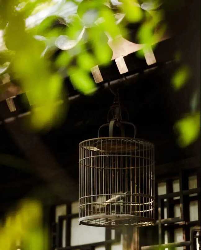 秋分图片大全大图风景图片高清插图3 秋分图片大全大图风景图片高清