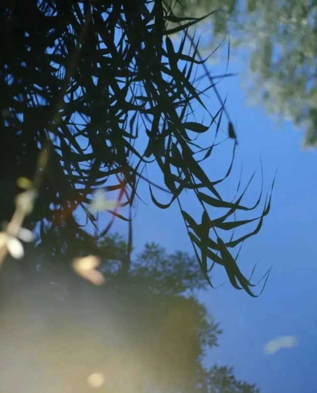 秋分图片大全大图风景图片高清插图9 秋分图片大全大图风景图片高清